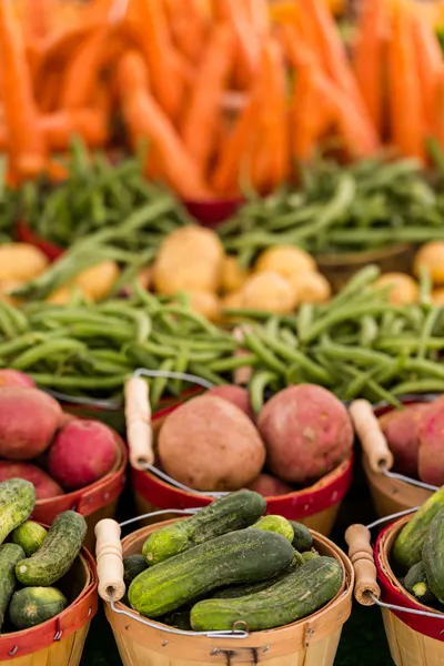 Fresh produce vegetables — Stock Photo, Image
