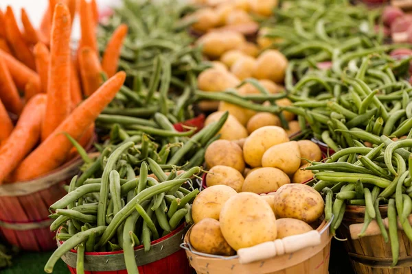 新鲜农产品蔬菜 — 图库照片