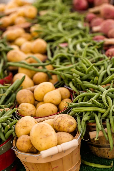 Frisches Gemüse — Stockfoto