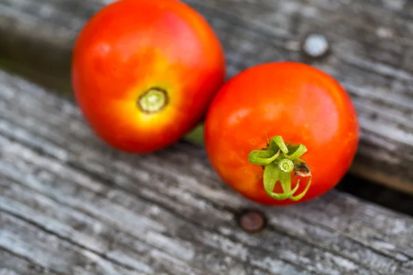 Due pomodori rossi maturi — Foto Stock