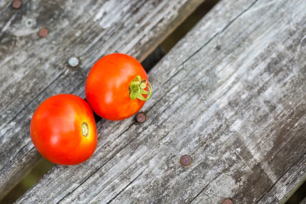 Two ripe red tomatoes — Stock Photo, Image