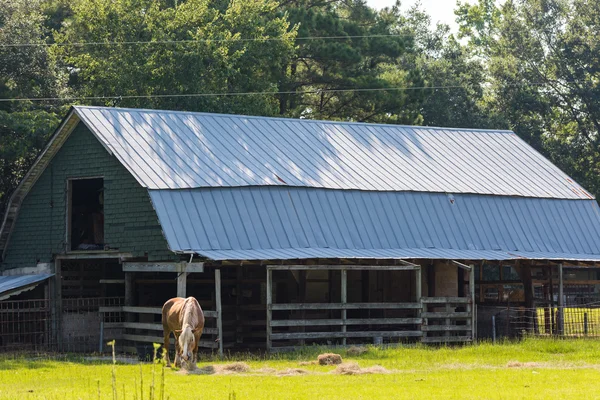 Paard op oude boerderij — Stockfoto