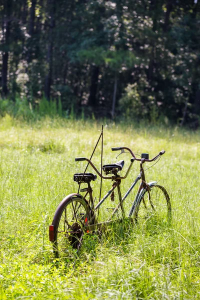 Oude tandem fiets — Stockfoto