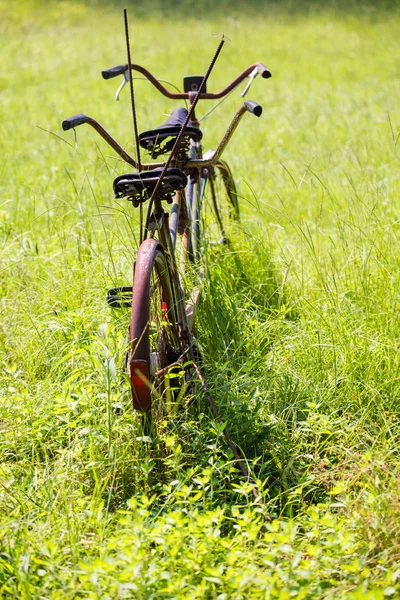 Vieux vélo tandem — Photo