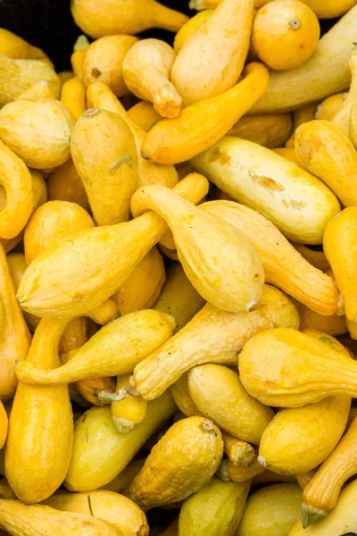 Zucca di prodotti freschi — Foto Stock