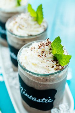 mintastic soğuk içecek