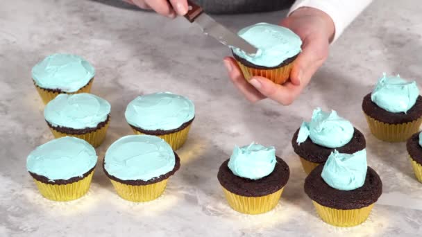 Pastelitos Chocolate Decorados Con Glaseado Crema Mantequilla Azul Arco Iris — Vídeos de Stock
