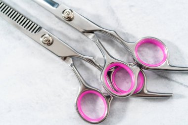 Gri arkaplanda yeni berber pembe makas.