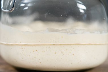 Ekşi mayalı ekmek pişirmek için cam bir mason kavanozunda başlangıç yapıyorum..