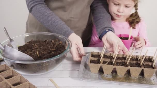 Klein Meisje Helpen Kruidenzaden Planten Kleine Containers Voor Een Thuisschool — Stockvideo