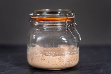 Ev yapımı buğday ekmeği. Cam bir mason kavanozunda başlangıç..