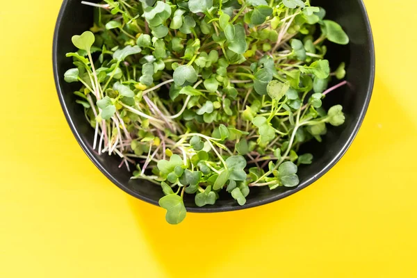 Flat Lay Freshly Harvested Radish Microgreens Bowl — Stock Photo, Image