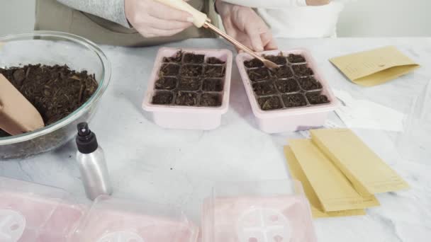 Klein Meisje Helpen Kruidenzaden Planten Kleine Containers Voor Een Thuisschool — Stockvideo