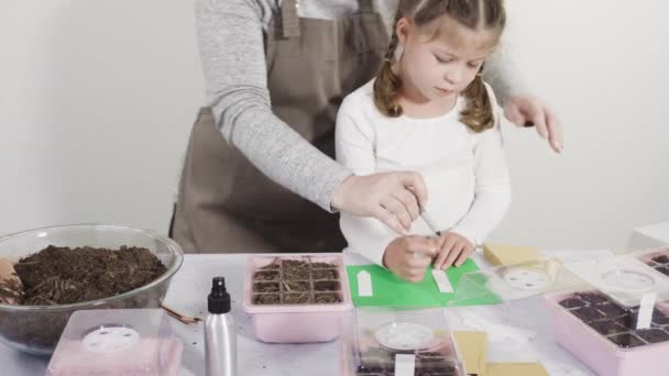 Niña Ayudando Plantar Semillas Hierbas Recipientes Pequeños Para Proyecto Escuela — Vídeos de Stock