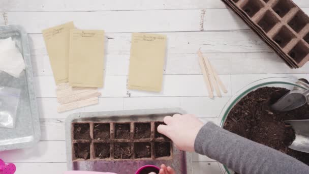 Niña Ayudando Plantar Semillas Hierbas Recipientes Pequeños Para Proyecto Escuela — Vídeos de Stock