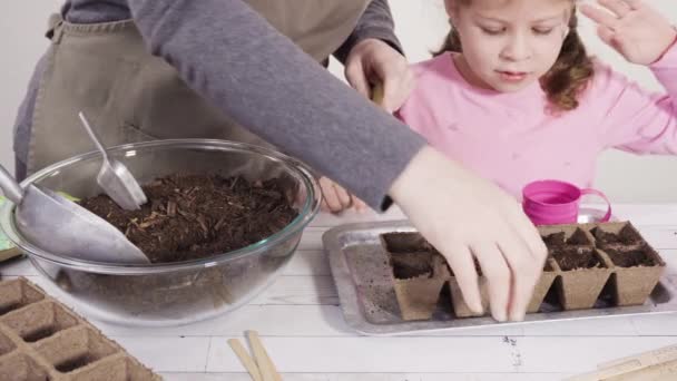 Κοριτσάκι Που Βοηθά Στη Φύτευση Σπόρων Βοτάνων Μικρά Δοχεία Για — Αρχείο Βίντεο