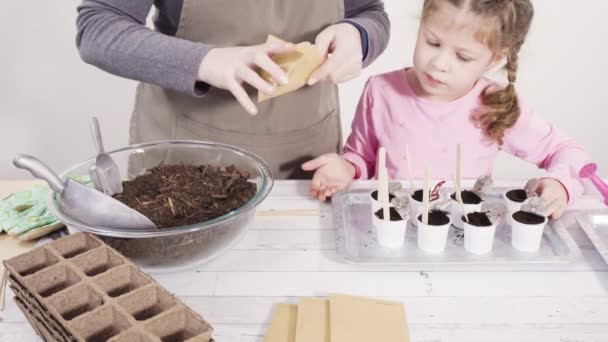 Petite Fille Aidant Planter Des Graines Herbes Dans Petits Récipients — Video