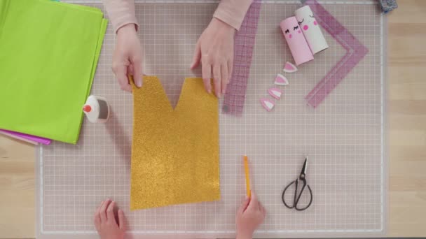 Papierkowa Robota Dla Dzieci Robaki Papierowe Pustych Zwojów Papieru Toaletowego — Wideo stockowe