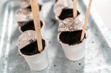 Kapalı bir sebze bahçesine başlamak için tohumları kahve kablarına ekiyorum..