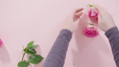 Taze pembe güller, kapat manzarayı