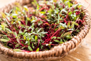Mor saplı turp mikroçerezleri ve sepette yeşil yapraklar.