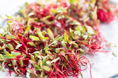 Mor saplı turp mikroçim ve metal tepside yeşil yapraklar..