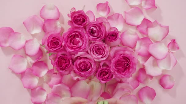 Rosas Rosadas Frescas Vista Cerca — Vídeos de Stock