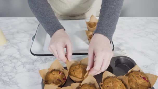 Tulipán Muffin Bélés Friss Áfonyás Muffinnal — Stock videók