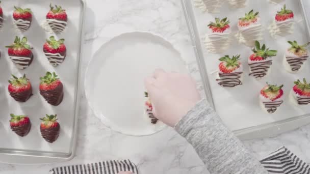 Çikolata Kaplı Çilekleri Kurabiye Tepsisinde Hazırlıyorum — Stok video
