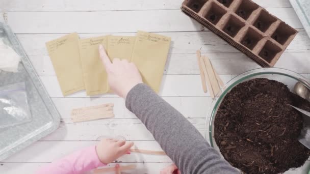 Küçük Kız Bir Okul Projesi Için Bitki Tohumlarını Küçük Kaplara — Stok video