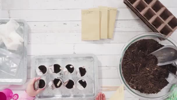 Klein Meisje Helpen Kruidenzaden Planten Kleine Containers Voor Een Thuisschool — Stockvideo