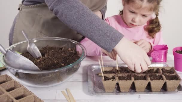 Liten Flicka Som Hjälper Till Att Plantera Örtfrön Små Behållare — Stockvideo