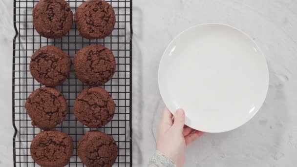 Taze Pişmiş Çikolatalı Kurabiyeleri Tel Askıda Soğutuyorum — Stok video