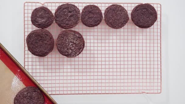 Cooling Freshly Baked Chocolate Cookies Wire Rack — Stock Video