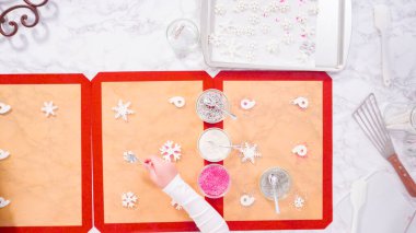 Düz yatıyordu. Adım adım. Sevimli kar taneleriyle ev yapımı lolipoplar yapmak.