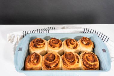 Mavi bir tavada taze pişmiş tarçınlı rulo..