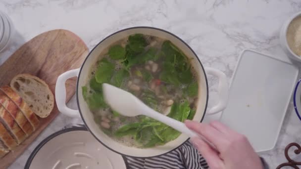 Cooking Vegetarian White Bean Soup Cast Iron Dutch Oven — Stock Video