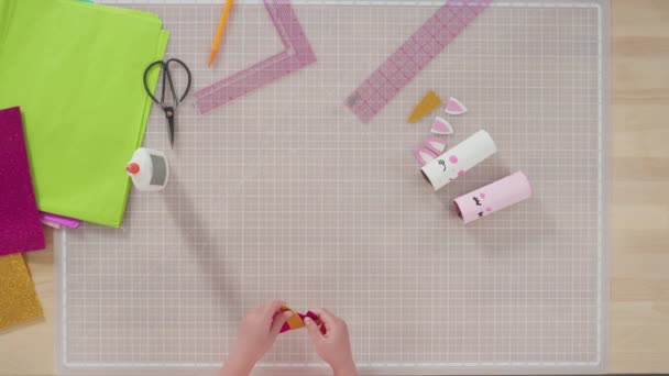 Schritt Für Schritt Aus Papier Und Leeren Toilettenpapierrollen Einhörner Basteln — Stockvideo