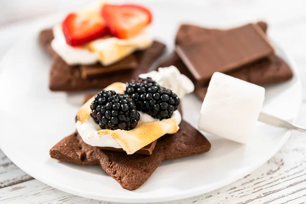 用烤棉花糖和水果在自制的星形巧克力饼干上做点心 — 图库照片