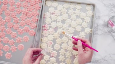 Adım adım. Gıda parıltısıyla sevimli kar taneleri boyamak.