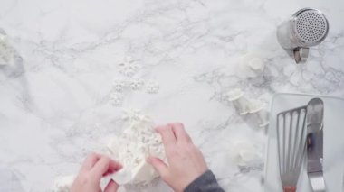 Adım adım. Gıda parıltısıyla sevimli kar taneleri boyamak.