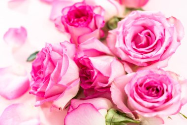 Düz yatıyordu. Pembe güller ve pembe arka planda gül yaprakları.