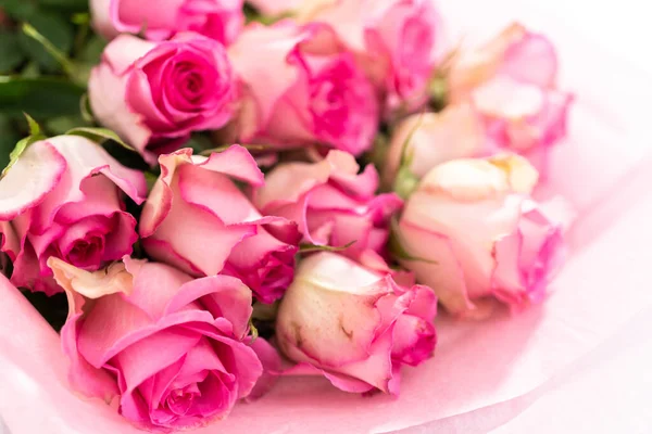 Close Fresh Pink Roses White Background — Stock Photo, Image