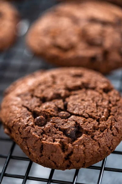 Čerstvě Upečené Dvojité Čokoládové Sušenky Chladicím Regálu — Stock fotografie