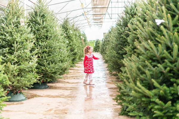 Little Girl Red Dress Christmas Tree Farm — Stock Photo, Image