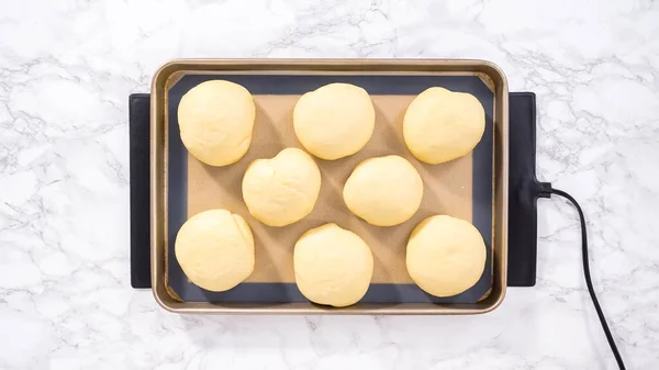 Lapos Fekvés Lépésről Lépésre Rising Brioche Tészta Egy Sütőlapon Szilikon — Stock Fotó