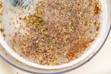 Cam bir kavanozda yetişen taze toplanmış organik filizleri yıkamak..