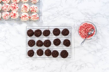 Düz yatıyordu. Naneli beyaz çikolatalı kurabiyeler hazırlamak için eritilmiş beyaz çikolataya çikolatalı kurabiyeler batırmak..