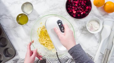 Düz yatıyordu. Adım adım. Kızılcık keki pişirmek için karışımı karıştırıyorum..