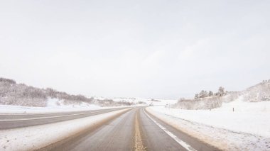Amerika 'nın banliyölerinde tipik kaldırımlı yollarda araba sürmek.